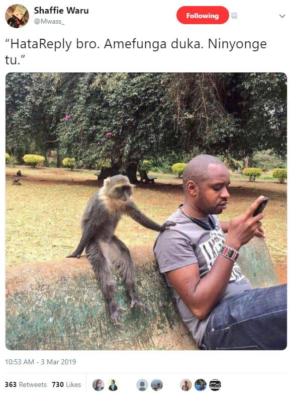 Shaffie waru mwass following hatareply bro. amefunga duka. ninyonge tu. 10.53 am