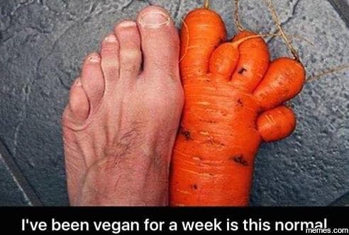 I've been vegan for a week is this normaes com
