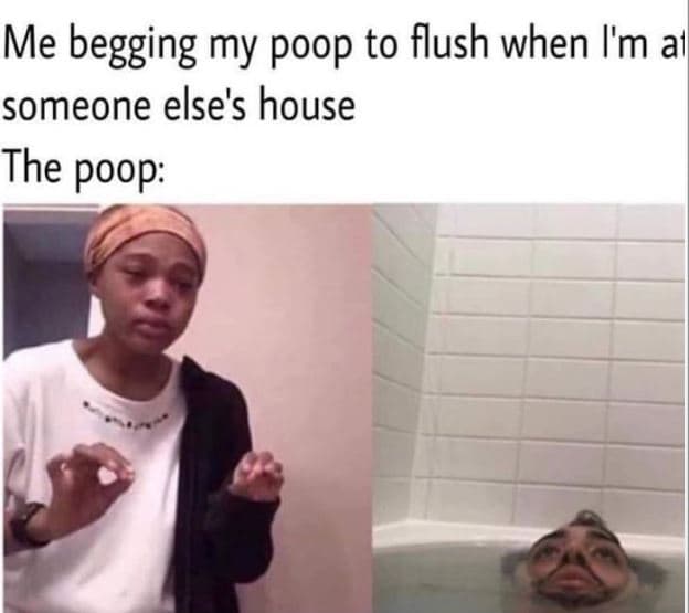 Me begging my poop to flush when i'm al someone else's house the poop