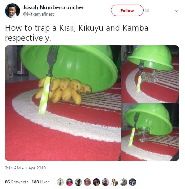 Josoh numbercruncher mtkenyafinest follow how to trap a kisii, kikuyu and kamba