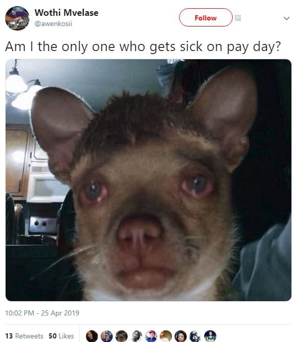 Wothi mvelase awenkosii follow am the only one who gets sick on pay day? 10.02 p
