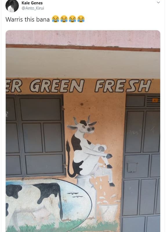 Kale genes anto_kirui warris this bana br green fresh