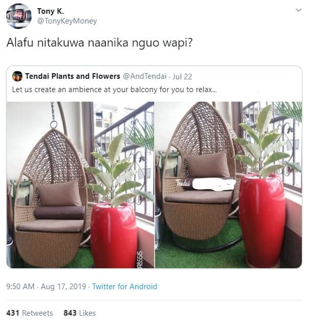 Tony k tonykeymoney alafu nitakuwa naanika nguo wapi? tendai plants and flowers
