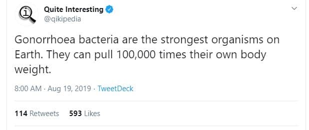 Quite interesting qikipedia gonorrhoea bacteria are the strongest organisms on e