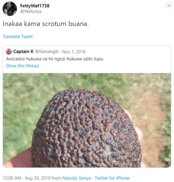 Fettywaf1 738 wafunya inakaa kama scrotum buana translate tweet captain k kianan