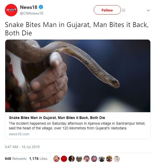 News18 cnnnews18 follow snake bites man in gujarat, man bites it back, both die