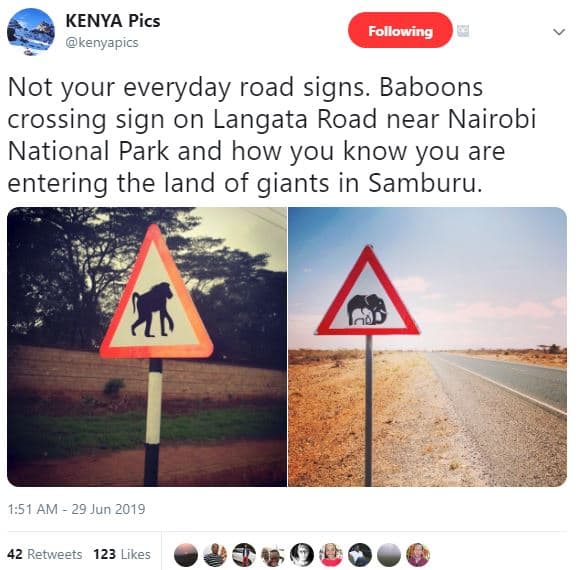 Kenya pics kenyapics following not your everyday road signs. baboons crossing si