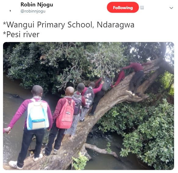 Robin njogu robinnjogu following wangui primary school ndaragwa pesi river