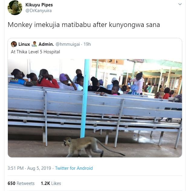 Kikuyu pipes drkanyuira monkey imekujia matibabu after kunyongwa sana linux admi