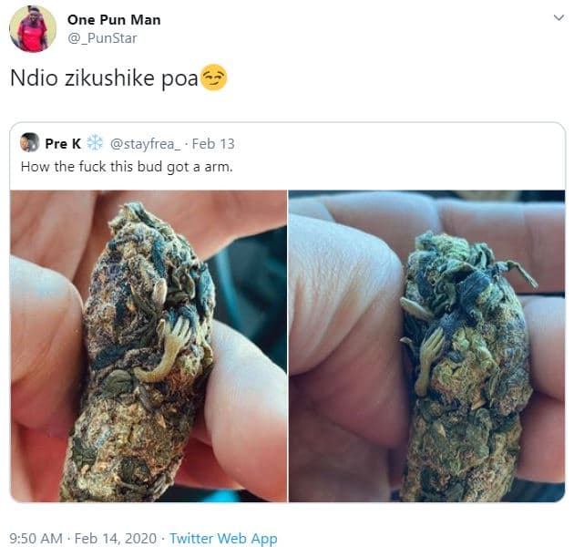 One pun man punstar ndio zikushike poa pre k stayfrea feb 13 how the fuck this b