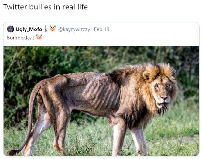 Twitter bullies in real life ugly_mofo bomboclaat kayzywizzzy feb 19