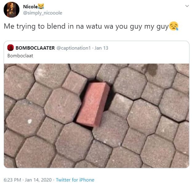 Nicole simply_nicooole me trying to blend in na watu wa you guy my guy bomboclaa