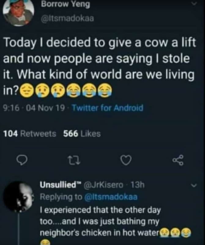 Borrow yeng itsmadokaa today 1 decided to give a cow a lift and now people are s