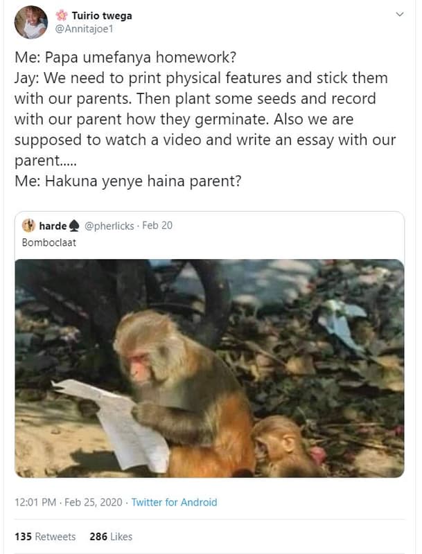 Tuirio twega annitajoe1 me papa umefanya homework? jay we need to print physical