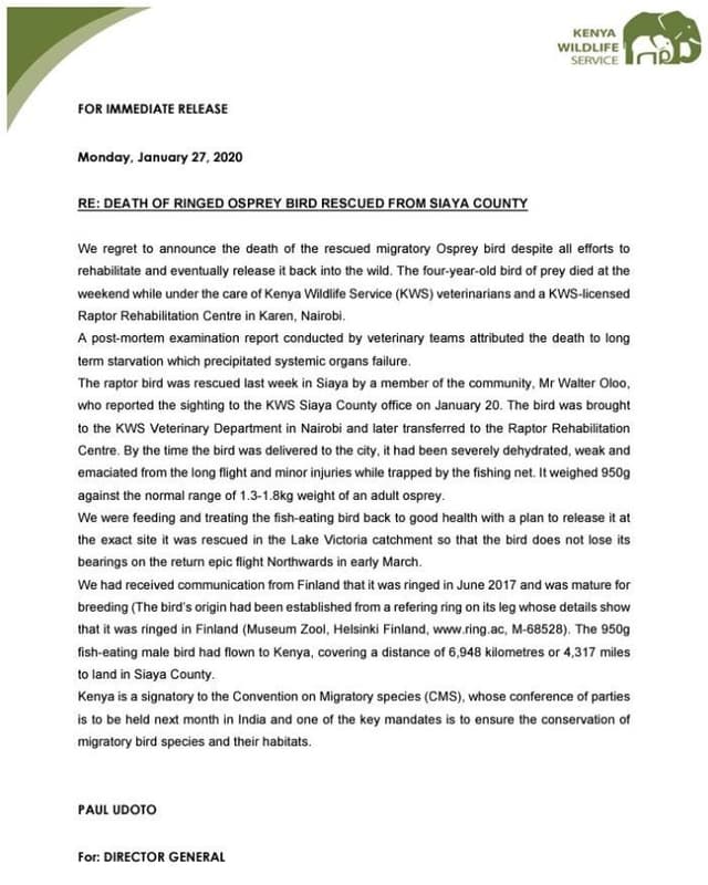 Kenya wildlife service for immediate release monday, january 27, re deaih of rin