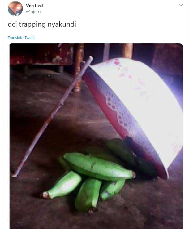 Verified njiiru dci trapping nyakundi translate tweet