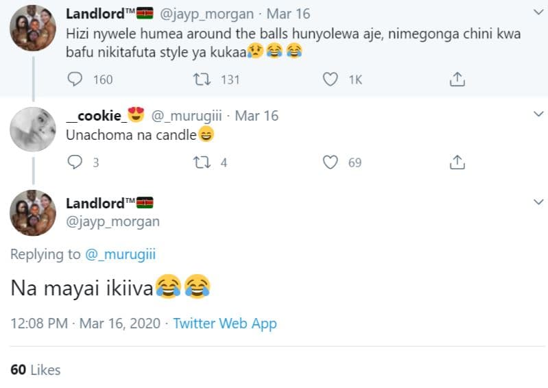 Landlordt jayp_morgan mar 16 hizi nywele humea around the balls hunyolewa aje, n