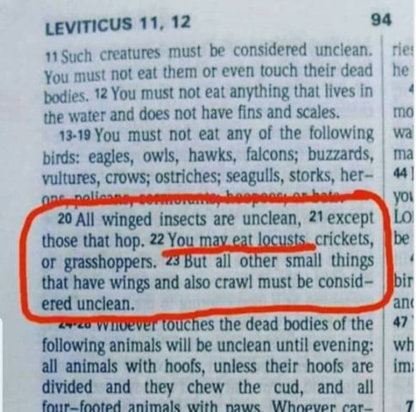 Leviticus 11, 12 94 11 such creatures must be considered unclean. fier you must