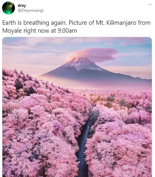 Drey dreymwangi earth is breathing again. picture of mt. kilimanjaro from moyale