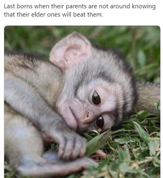 Last borns when their parents are not around knowing that their elder ones will