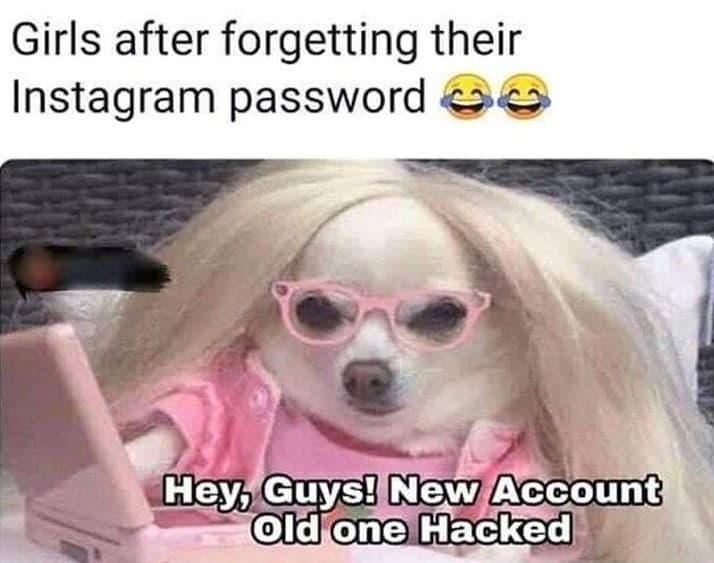 Girls after forgetting their instagram password hey uysi new aacount 'ldone lack