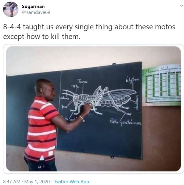 Sugarman samdave69 844 taught us every single thing about these mofos except how