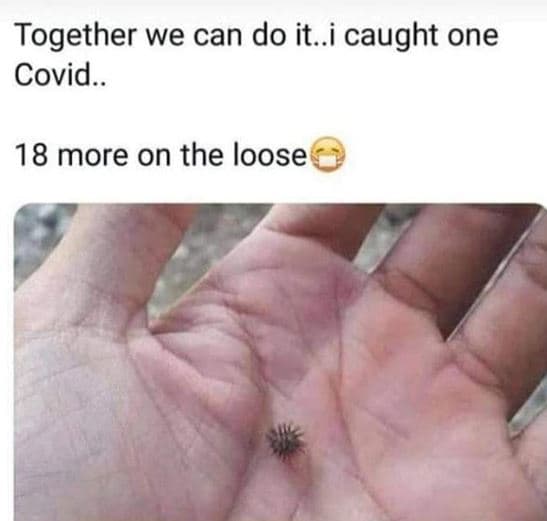 Together we can do it..i caught one covid. 18 more on the loose