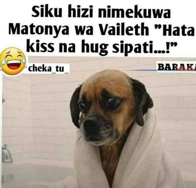 Siku hizi nimekuwa matonya wa vaileth hata kiss na hug sipatis_! cheka tu barak