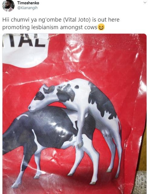 Timoshenko kianangih hii chumvi ya ng'ombe vital joto is out here promoting lesb