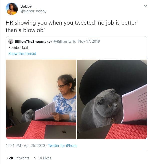 Bobby signor_bobby hr showing you when you tweeted no job is better than a blowj