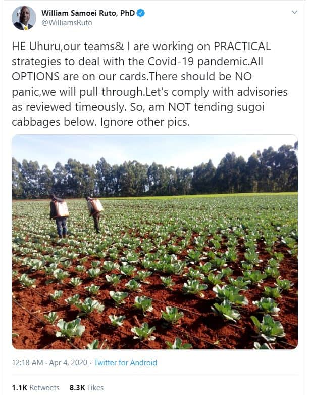 William samoei ruto, phd williamsruto he uhuru,our teams are working on practica