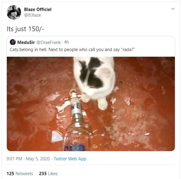 Blaze officiel b3laze its just 150 medusir draefrank cats belong in hell. next t