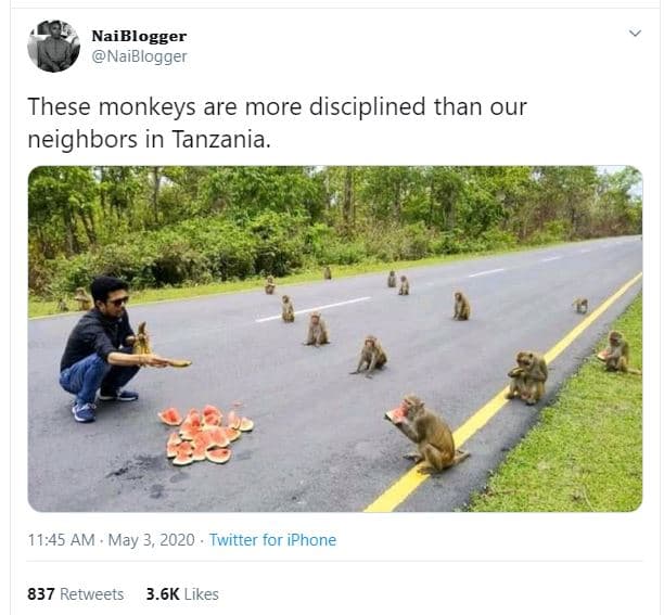 Naiblogger naiblogger these monkeys are more disciplined than our neighbors in t