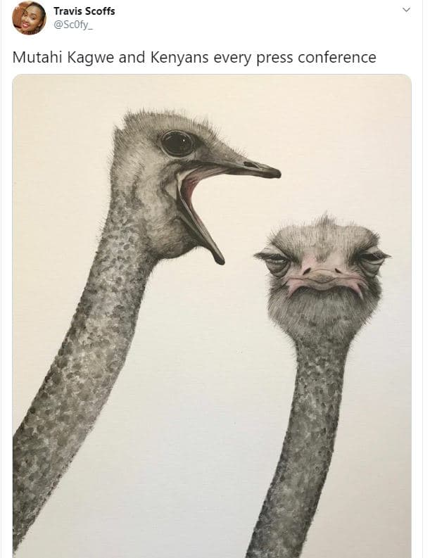 Travis scoffs scofy _ mutahi kagwe and kenyans every press conference