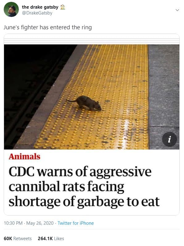 The drake gatsby drakegatsby june's fighter has entered the ring animals cdc war