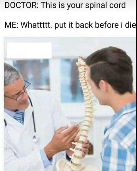 Doctor this is your spinal cord me whattttt. put it back before i die