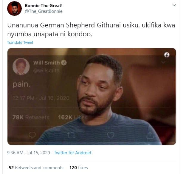 Bonnie the great! the_greatbonnie unanunua german shepherd githurai usiku, ukifi