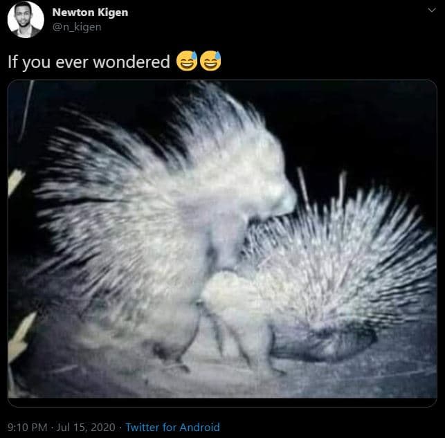 Newton kigen n_kigen if you ever wondered 9.10 pm jul 15, twitter for android