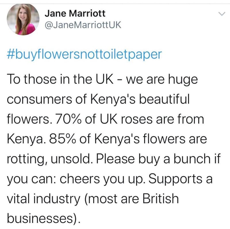 Jane marriott janemarriottuk buyflowersnottoiletpaper to those in the uk we are