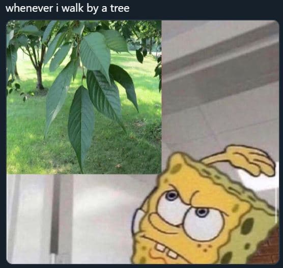Whenever i walk by a tree