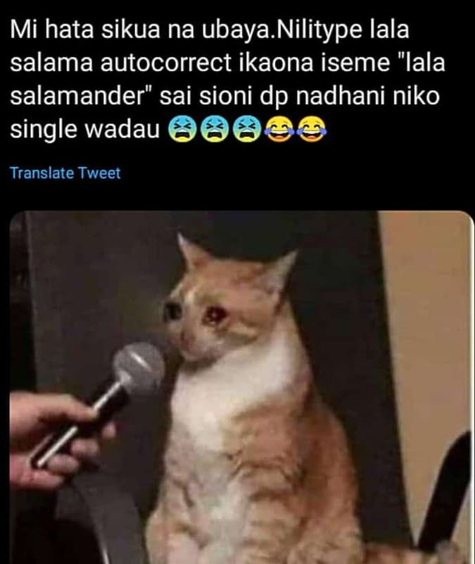 Mi hata sikua na ubaya. nilitype lala salama autocorrect ikaona iseme lala salam