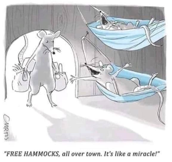 P free hammocks, all over town. it's like a miracle!