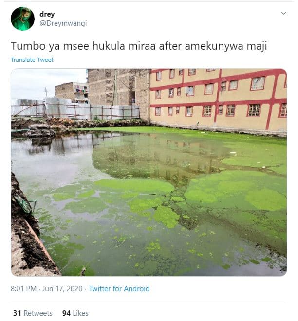 Drey dreymwangi tumbo ya msee hukula miraa after amekunywa maji translate tweet