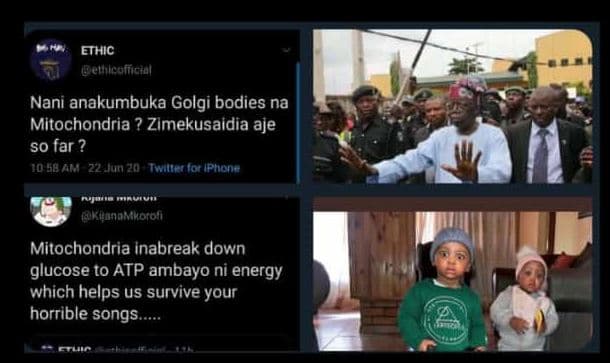 Ethic leuucomicto nani anakumbuka golgi bodies na mitochondria ? zimekusaidia aj