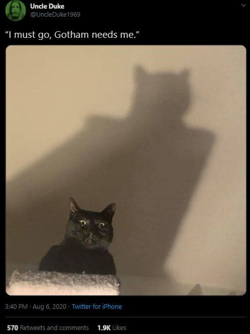 Unde duke uncleduke1969 must go, gotham needs me_ 3,40 pm . aug 6 twitter for ip