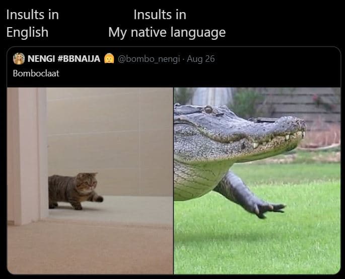 Insults in english insults in my native language nengi bbnaija bombo_nengi aug 2