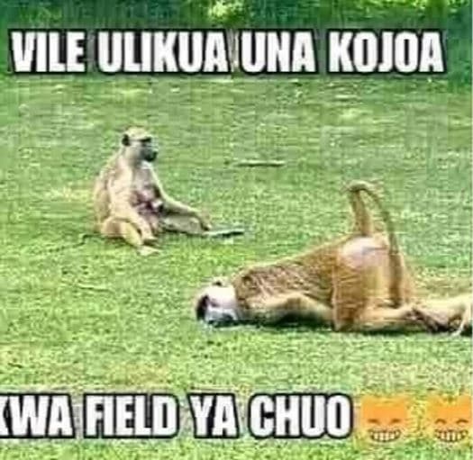 Ile ulikua una kojoa mmedchuo