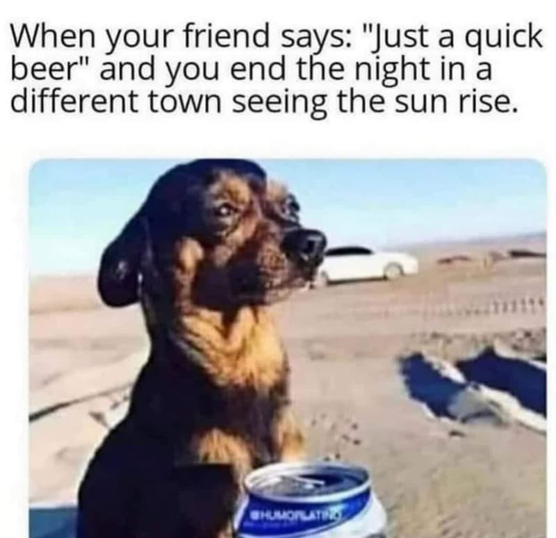 When your friend says just a quick beer and you end the night in a different tow