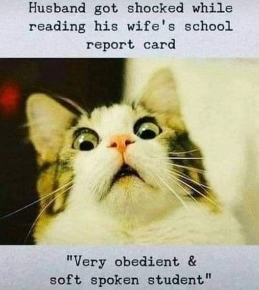 Husband got shocked while reading his wife' s school report card very obedient s
