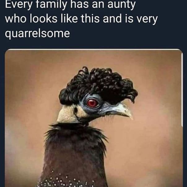Every tamily has an aunty who looks like this and is very quarrelsome